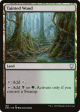 Tainted Wood [Phyrexia: All Will Be One Commander] For Discount