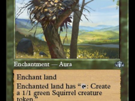 Squirrel Nest (Retro) [Dominaria Remastered] Online