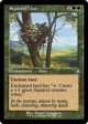 Squirrel Nest (Retro) [Dominaria Remastered] Online