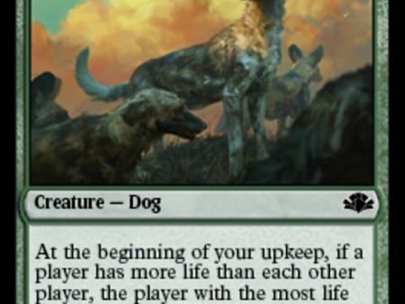 Wild Dogs [Dominaria Remastered] Online now