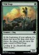 Wild Dogs [Dominaria Remastered] Online now